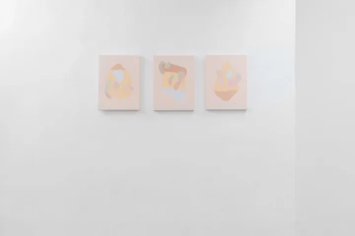 Assisted Service for Miracle Reactions, installation view at Dimora Artica, Milano (7 of 13)