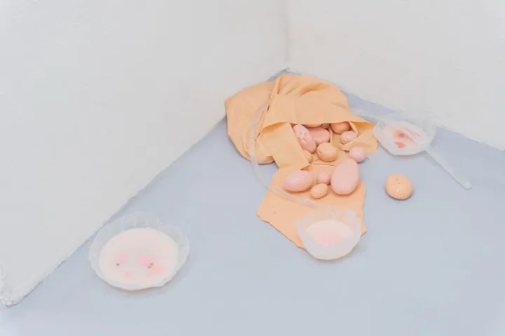 Assisted Service for Miracle Reactions, installation view at Dimora Artica, Milano (10 of 13)