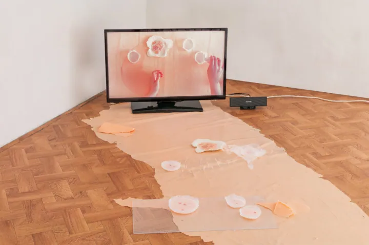 Assisted Service for Miracle Reactions, installation view at Dimora Artica, Milano (12 of 13)