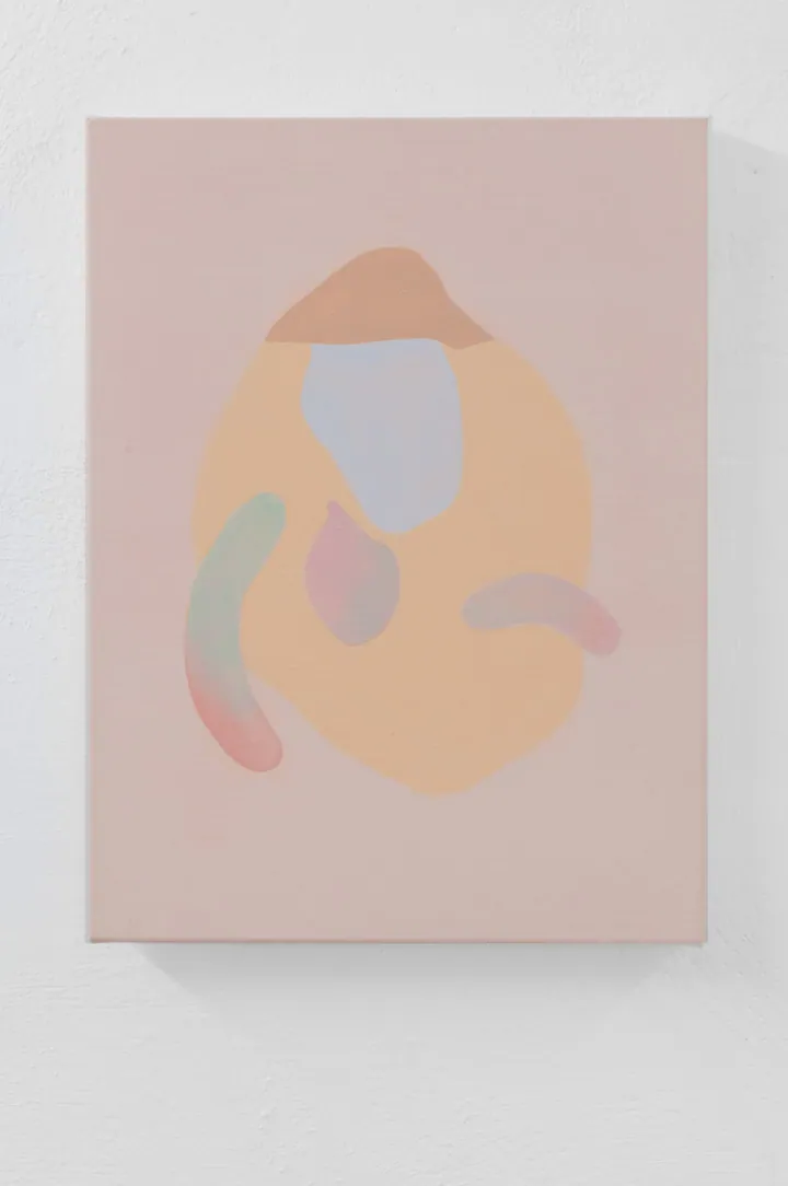 Assisted Service for Miracle Reactions, installation view at Dimora Artica, Milano (8 of 13)