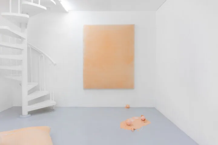 Assisted Service for Miracle Reactions, installation view at Dimora Artica, Milano (5 of 13)