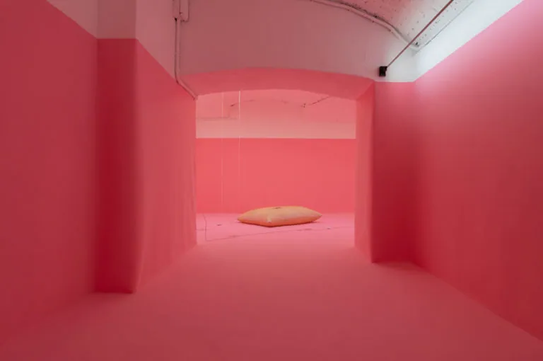 The Mating Season of Frenzy Breeze, installation view at Galleria Bianconi, Milano (28 of 28)