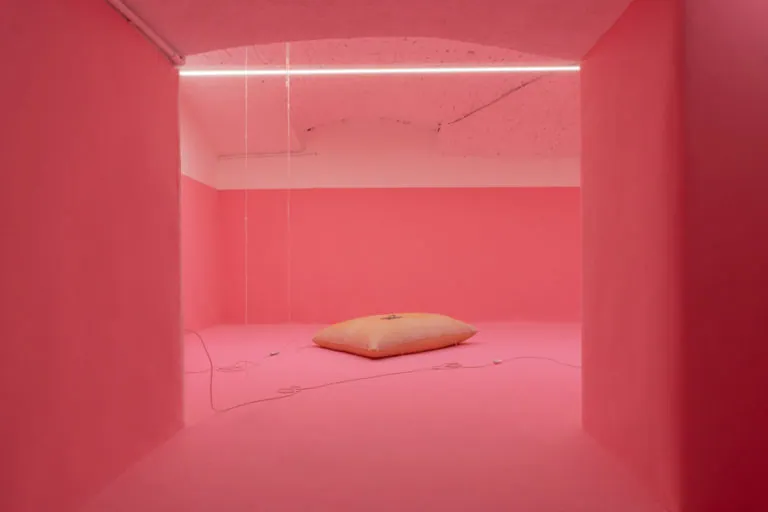 The Mating Season of Frenzy Breeze, installation view at Galleria Bianconi, Milano (27 of 28)