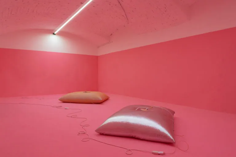 The Mating Season of Frenzy Breeze, installation view at Galleria Bianconi, Milano (26 of 28)