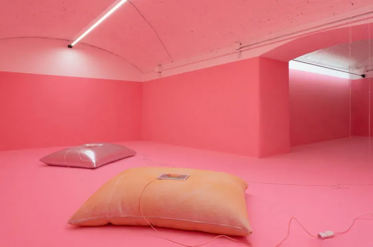 The Mating Season of Frenzy Breeze, installation view at Galleria Bianconi, Milano (24 of 28)