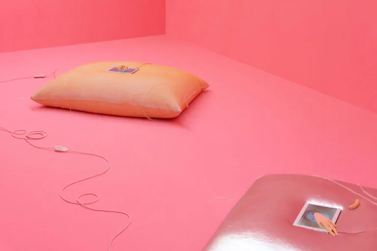 The Mating Season of Frenzy Breeze, installation view at Galleria Bianconi, Milano (23 of 28)