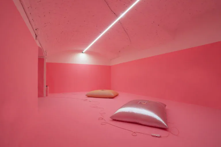 The Mating Season of Frenzy Breeze, installation view at Galleria Bianconi, Milano (1 of 28)