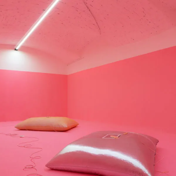 The Mating Season of Frenzy Breeze, installation view at Galleria Bianconi, Milano (21 of 28)
