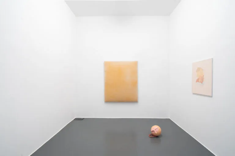 The Mating Season of Frenzy Breeze, installation view at Galleria Bianconi, Milano (20 of 28)