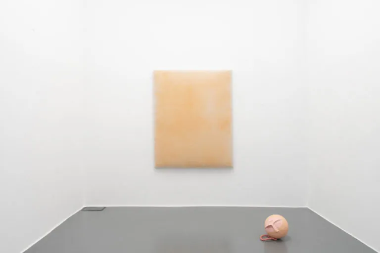 The Mating Season of Frenzy Breeze, installation view at Galleria Bianconi, Milano (3 of 28)