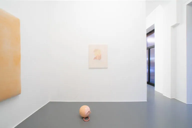 The Mating Season of Frenzy Breeze, installation view at Galleria Bianconi, Milano (19 of 28)