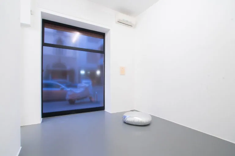 The Mating Season of Frenzy Breeze, installation view at Galleria Bianconi, Milano (18 of 28)