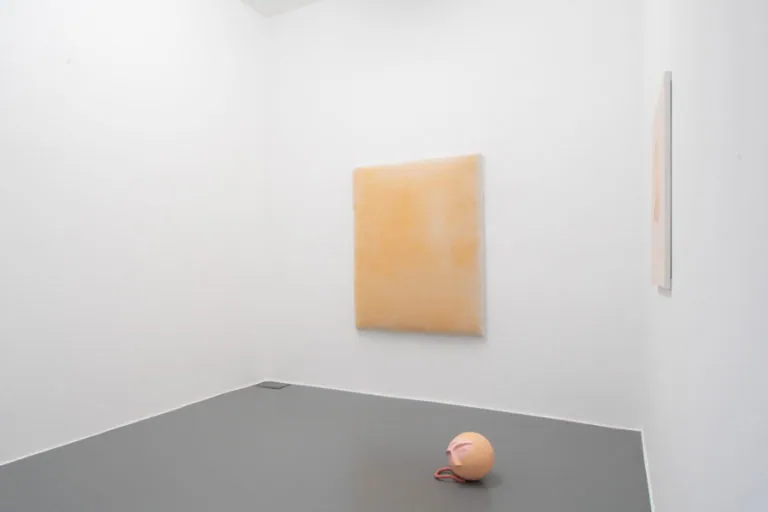 The Mating Season of Frenzy Breeze, installation view at Galleria Bianconi, Milano (17 of 28)