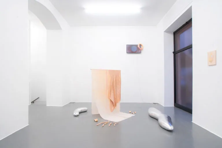 The Mating Season of Frenzy Breeze, installation view at Galleria Bianconi, Milano (16 of 28)