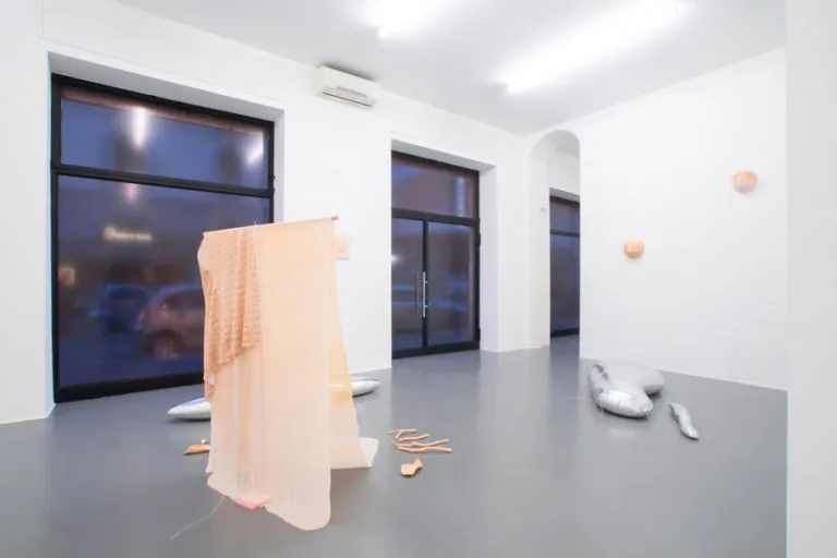 The Mating Season of Frenzy Breeze, installation view at Galleria Bianconi, Milano (15 of 28)