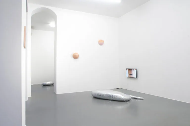 The Mating Season of Frenzy Breeze, installation view at Galleria Bianconi, Milano (14 of 28)