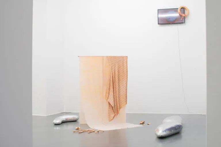 The Mating Season of Frenzy Breeze, installation view at Galleria Bianconi, Milano (13 of 28)