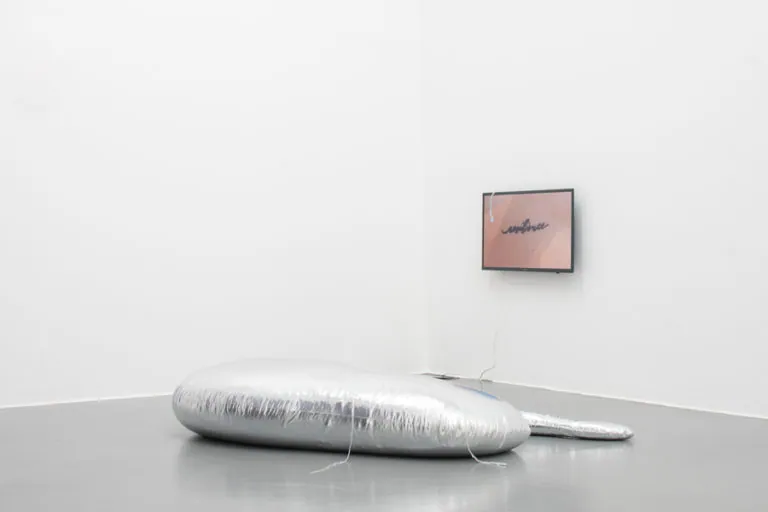 The Mating Season of Frenzy Breeze, installation view at Galleria Bianconi, Milano (12 of 28)