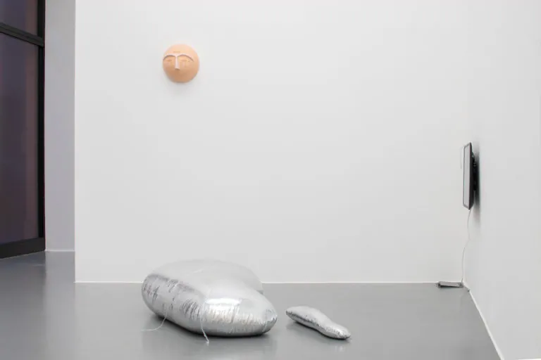 The Mating Season of Frenzy Breeze, installation view at Galleria Bianconi, Milano (11 of 28)