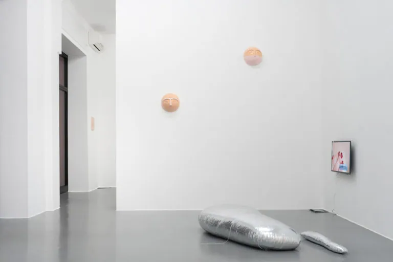 The Mating Season of Frenzy Breeze, installation view at Galleria Bianconi, Milano (10 of 28)