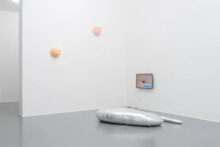 The Mating Season of Frenzy Breeze, installation view at Galleria Bianconi, Milano (9 of 28)