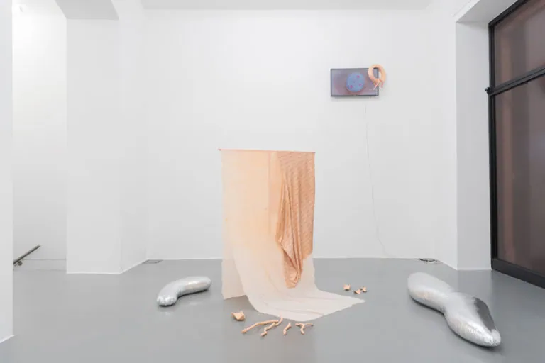 The Mating Season of Frenzy Breeze, installation view at Galleria Bianconi, Milano (8 of 28)
