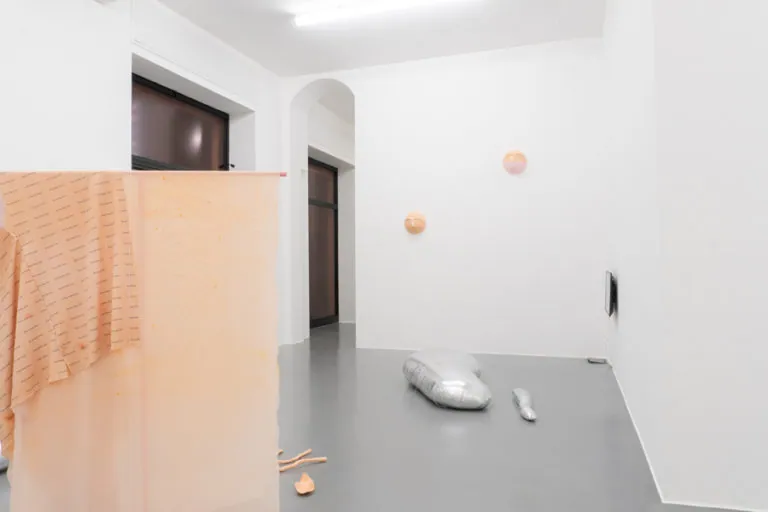 The Mating Season of Frenzy Breeze, installation view at Galleria Bianconi, Milano (7 of 28)