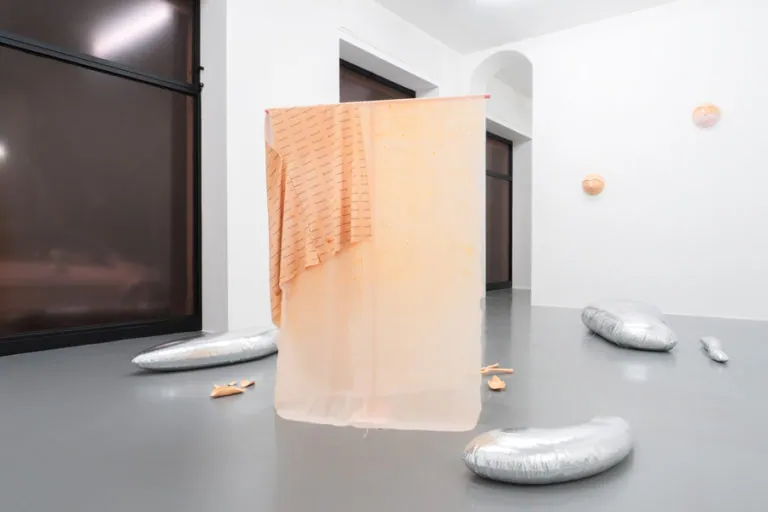 The Mating Season of Frenzy Breeze, installation view at Galleria Bianconi, Milano (6 of 28)