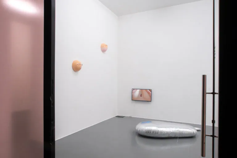 The Mating Season of Frenzy Breeze, installation view at Galleria Bianconi, Milano (4 of 28)