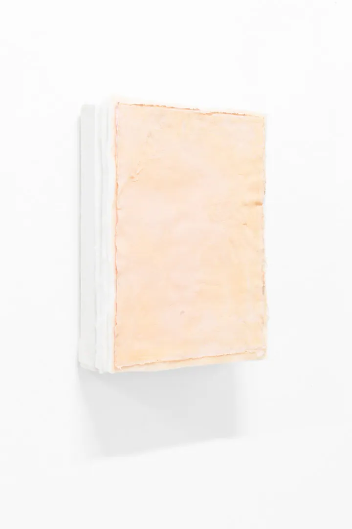 Selected work by Gioia Di Girolamo (14 of 17)