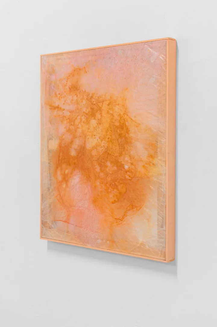 Selected work by Gioia Di Girolamo (3 of 17)