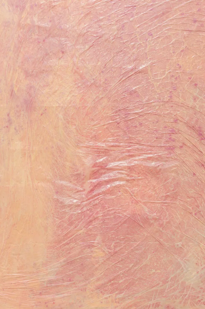 Selected work by Gioia Di Girolamo (17 of 17)