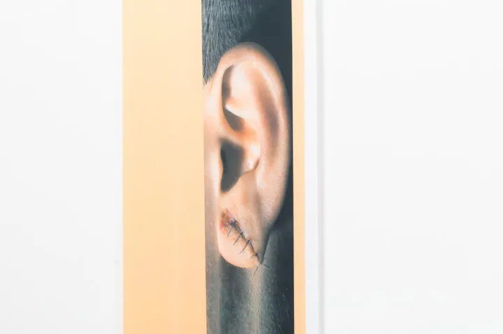 Selected work by Gioia Di Girolamo (8 of 17)