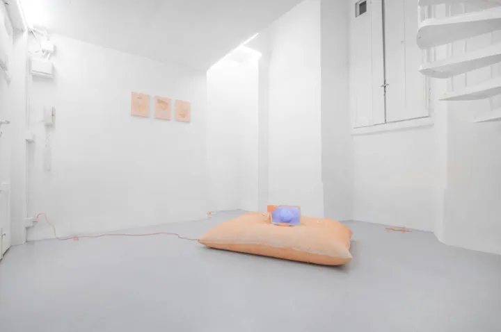 Exhibition view of a work by Gioia Di Girolamo (1 of 27)