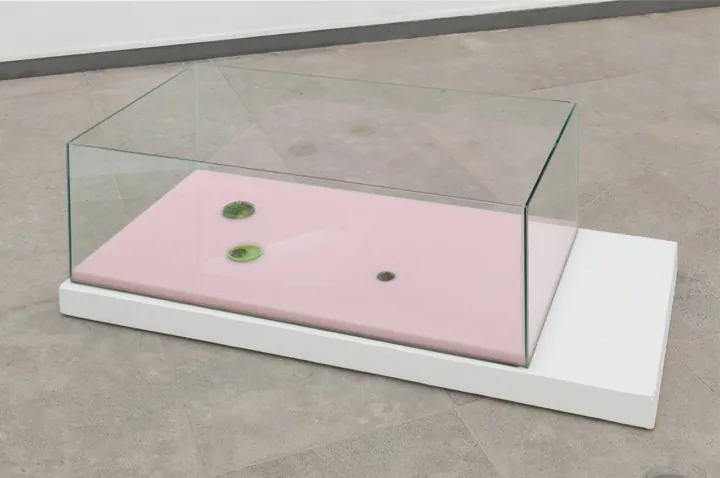 Exhibition view of a work by Gioia Di Girolamo (8 of 27)