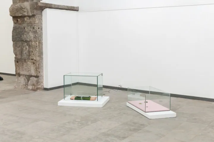 Exhibition views