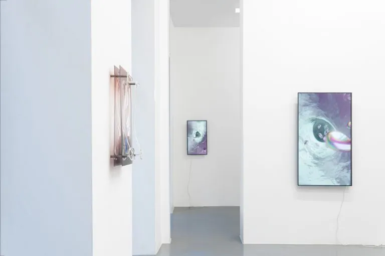 Wormhole, installation view at Galleria Bianconi, Milano (3 of 33)
