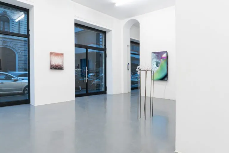 Wormhole, installation view at Galleria Bianconi, Milano (6 of 33)