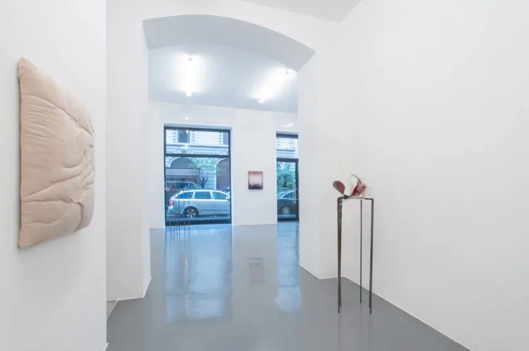 Wormhole, installation view at Galleria Bianconi, Milano (16 of 33)