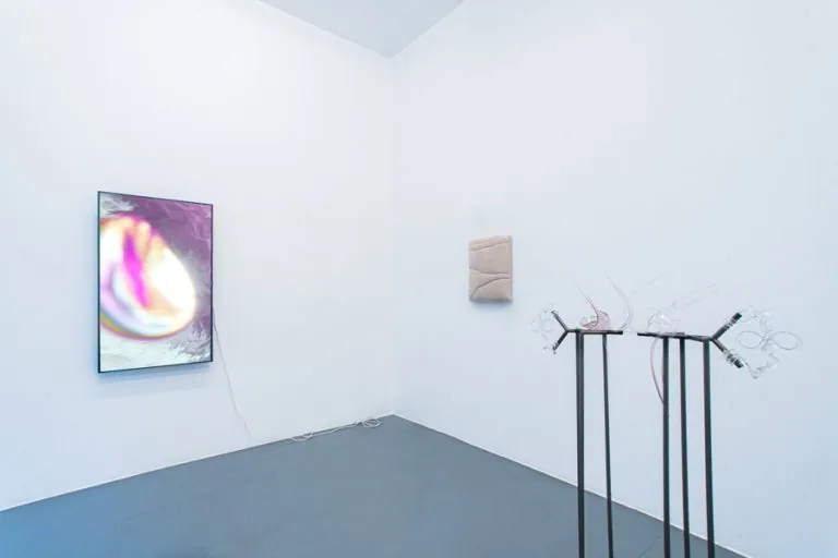 Wormhole, installation view at Galleria Bianconi, Milano (18 of 33)