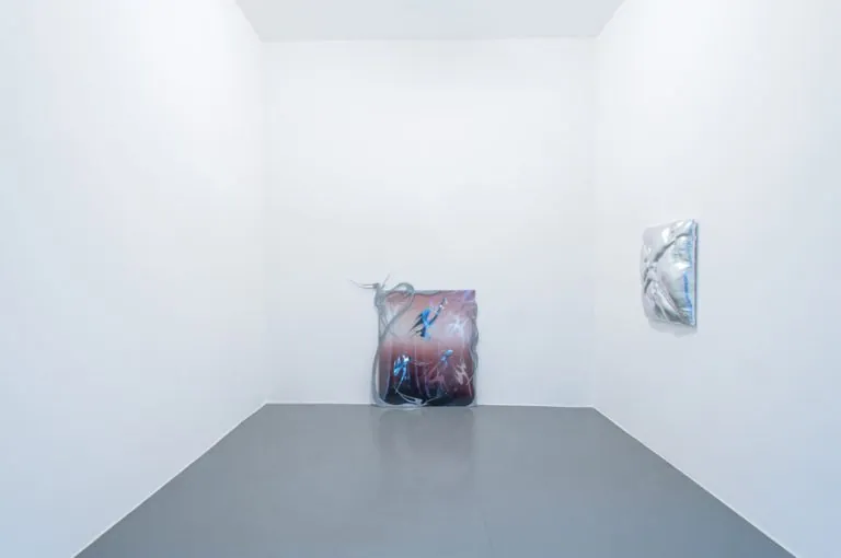 Wormhole, installation view at Galleria Bianconi, Milano (28 of 33)